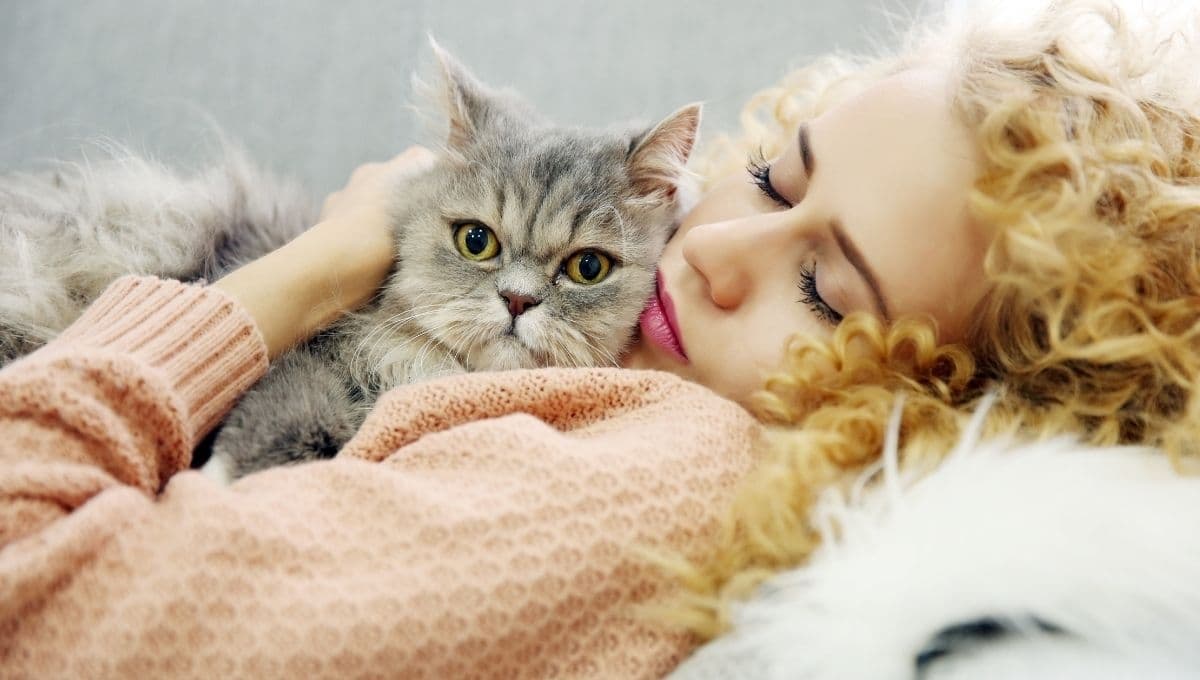 ¿Qué significa soñar con gatos? Este es su significado espiritual