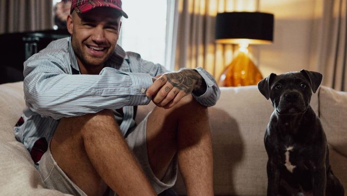 ¿Quiénes son los perros de Liam Payne y qué pasará con sus mascotas?