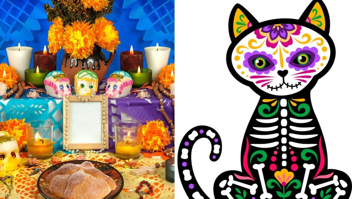 Día de Muertos 2024: ¿a qué hora llegan las mascotas este 27 de octubre?