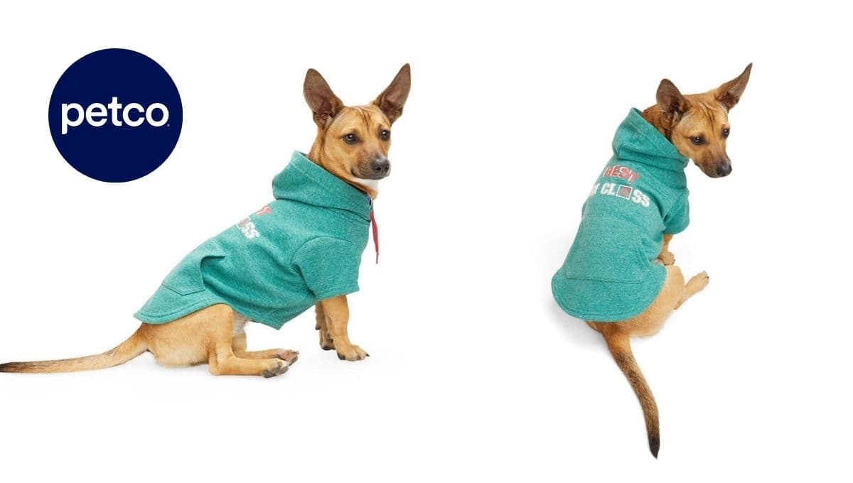 ¿Tiempo de frío? Petco tiene la mejor sudadera para tu lomito al 50 por ciento de descuento