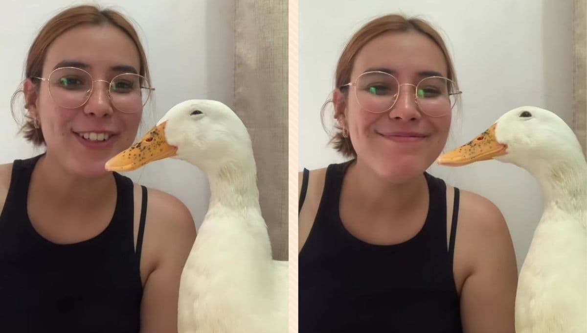 ¿Has visto sonreír a un pato? Así lo hizo uno en TikTok y se ve adorable | VIDEO