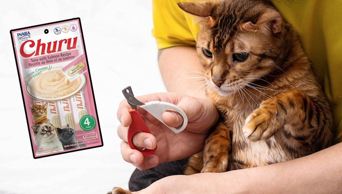 El truco perfecto para cortarle las uñas a tu gato con su comida favorita