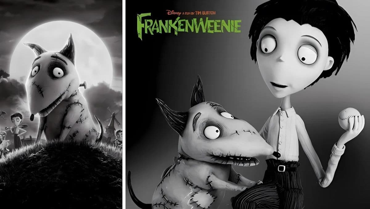 ¿Qué raza de perro es Frankenweenie?