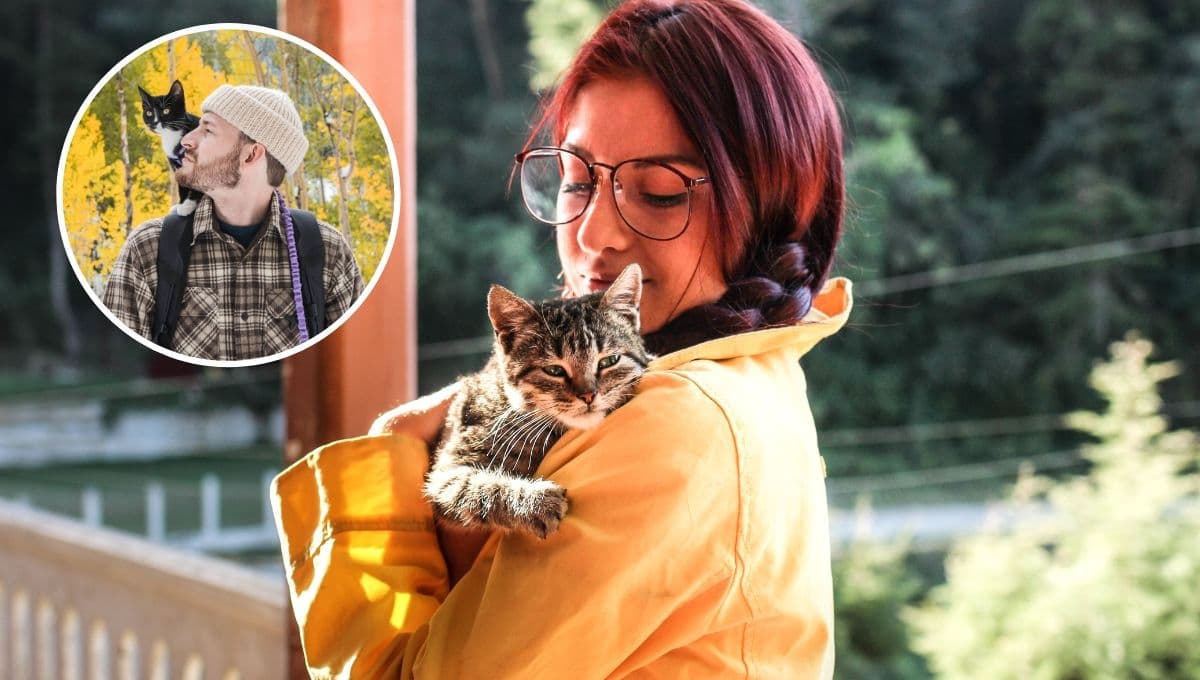 5 características de una persona que tiene personalidad de gato