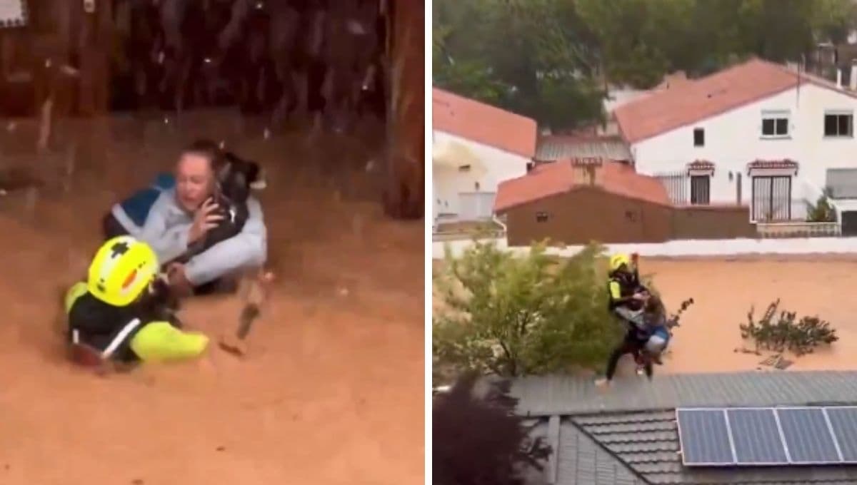 Esto es amor, así fue el emotivo rescate de una mujer y su perrito en las inundaciones de Valencia, España