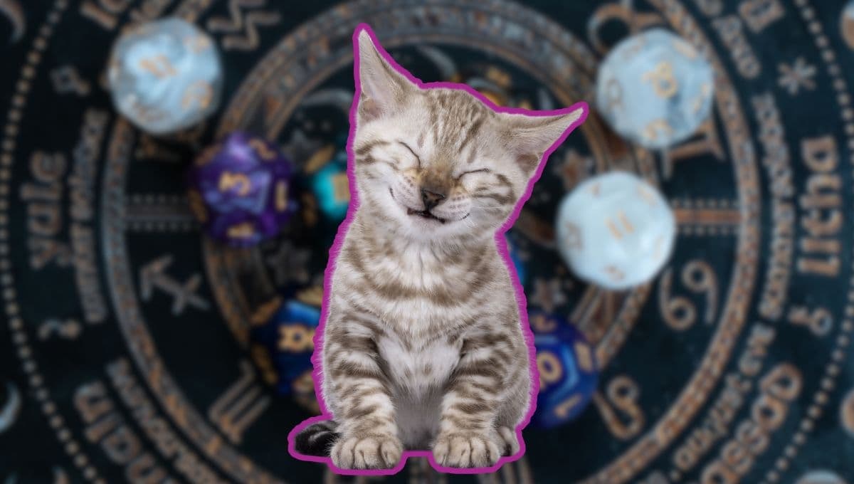 Horóscopo de tu gato: Las predicciones para tu michi hoy jueves 31 de octubre