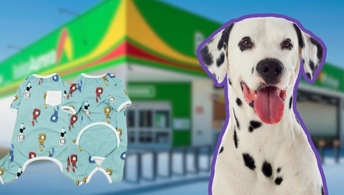 Bodega Aurrera pone en increíble descuento estas 3 pijamas perfectas para tus perros