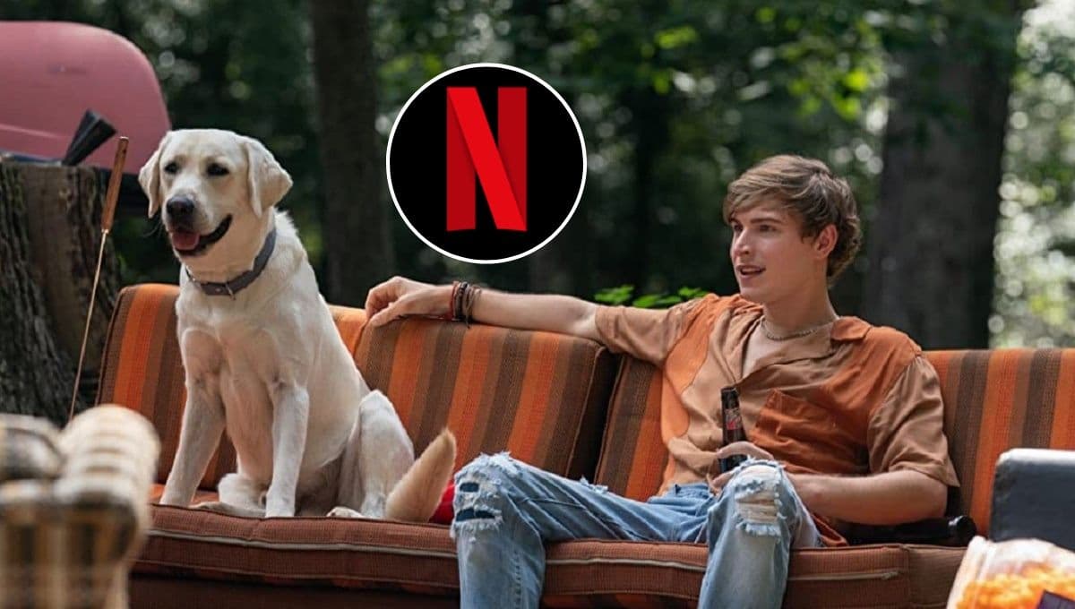 La conmovedora película de un perro en Netflix para llorar este 2023