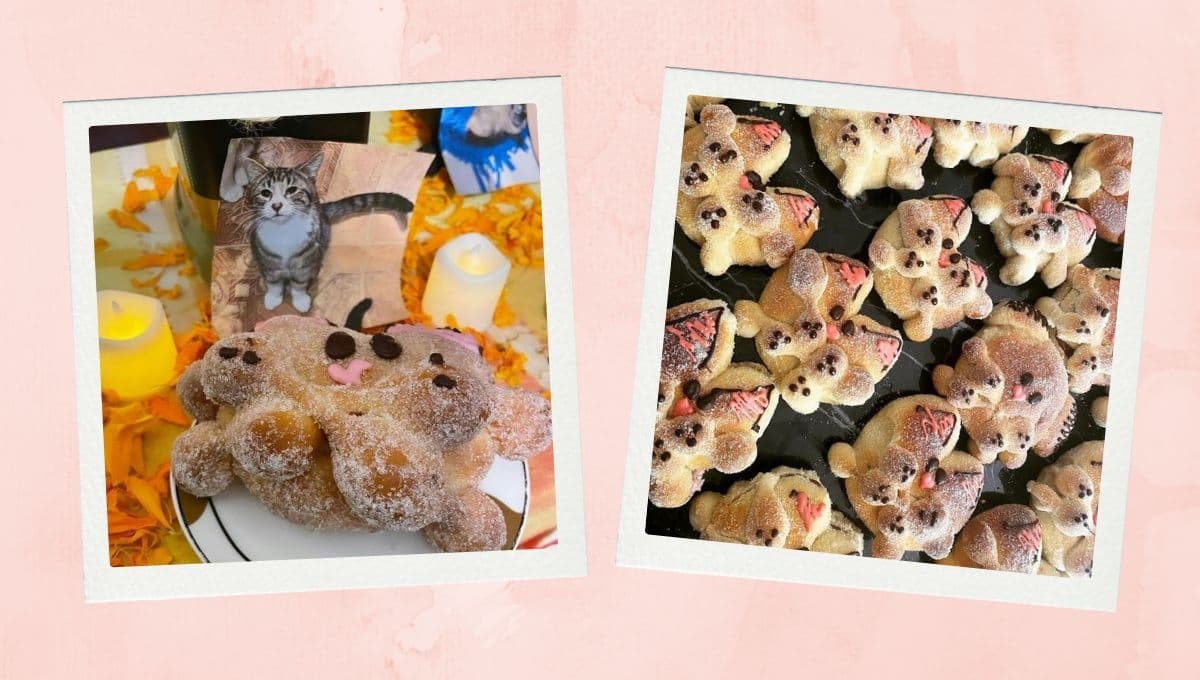 Conoce los michimuertos, el pan ideal para la ofrenda en Día de Muertos 2024