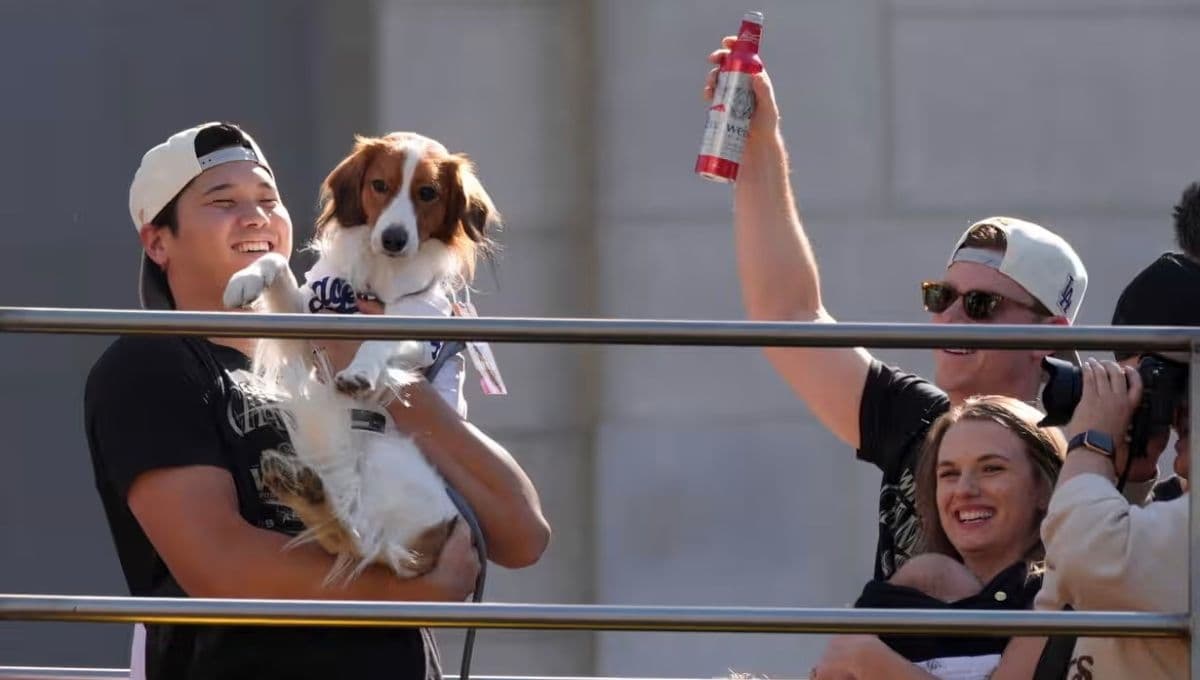 Shohei Ohtani, beisbolista japonés, saca a su perrito a pasear en el desfile de los Dodgers por su campeonato
