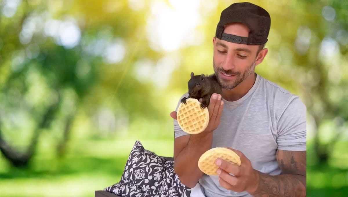 ¿Quién era Peanut, la ardilla influencer que fue arrebatada de su dueño y sacrificada?