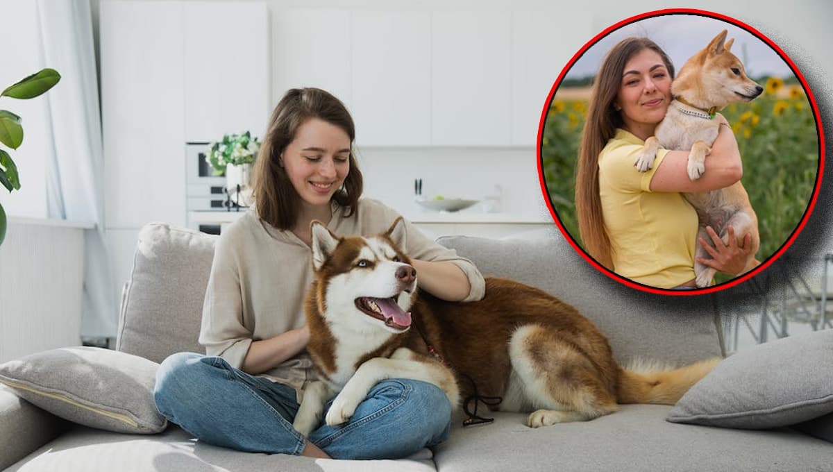 TEST rápido para saber si tu perro confía plenamente en ti