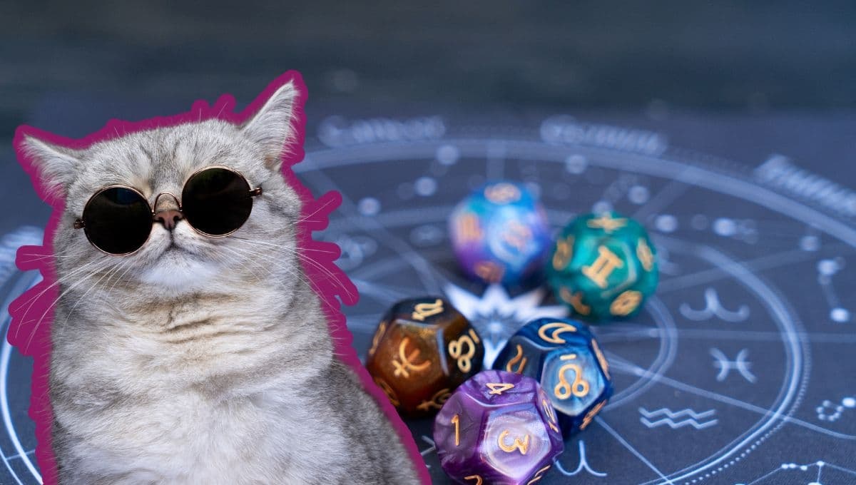Horóscopo de tu gato: Las predicciones para tu michi hoy martes 5 de noviembre