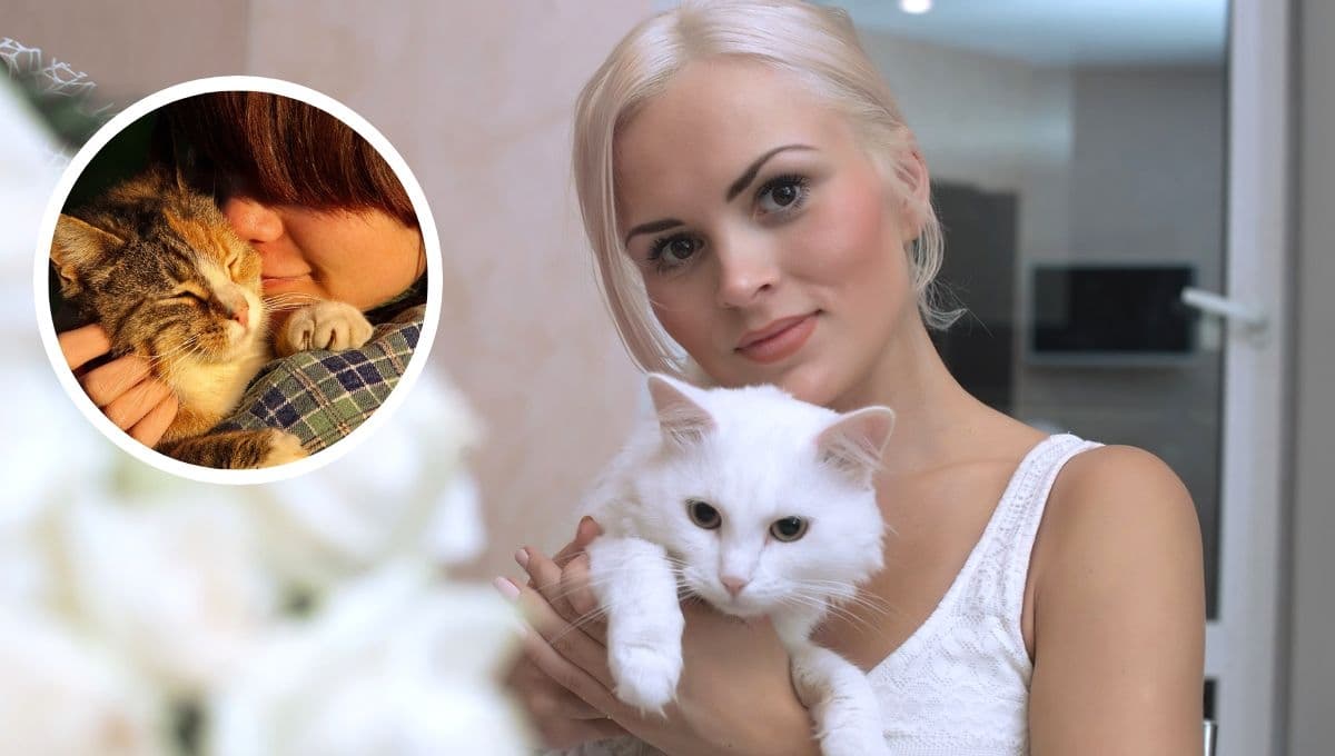 ¿Cómo tener una buena relación con mi gato?