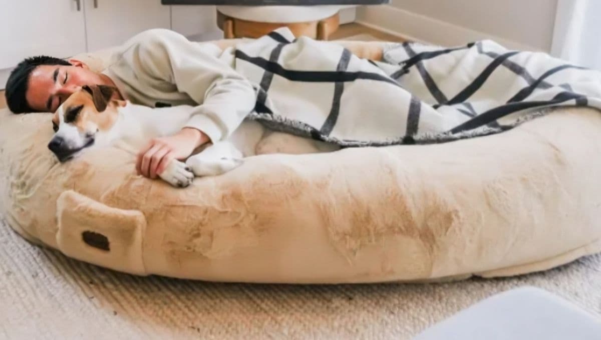 La cama gigante, cómoda y bonita para humanos inspirada en las de perros y la puedes conseguir en Costco