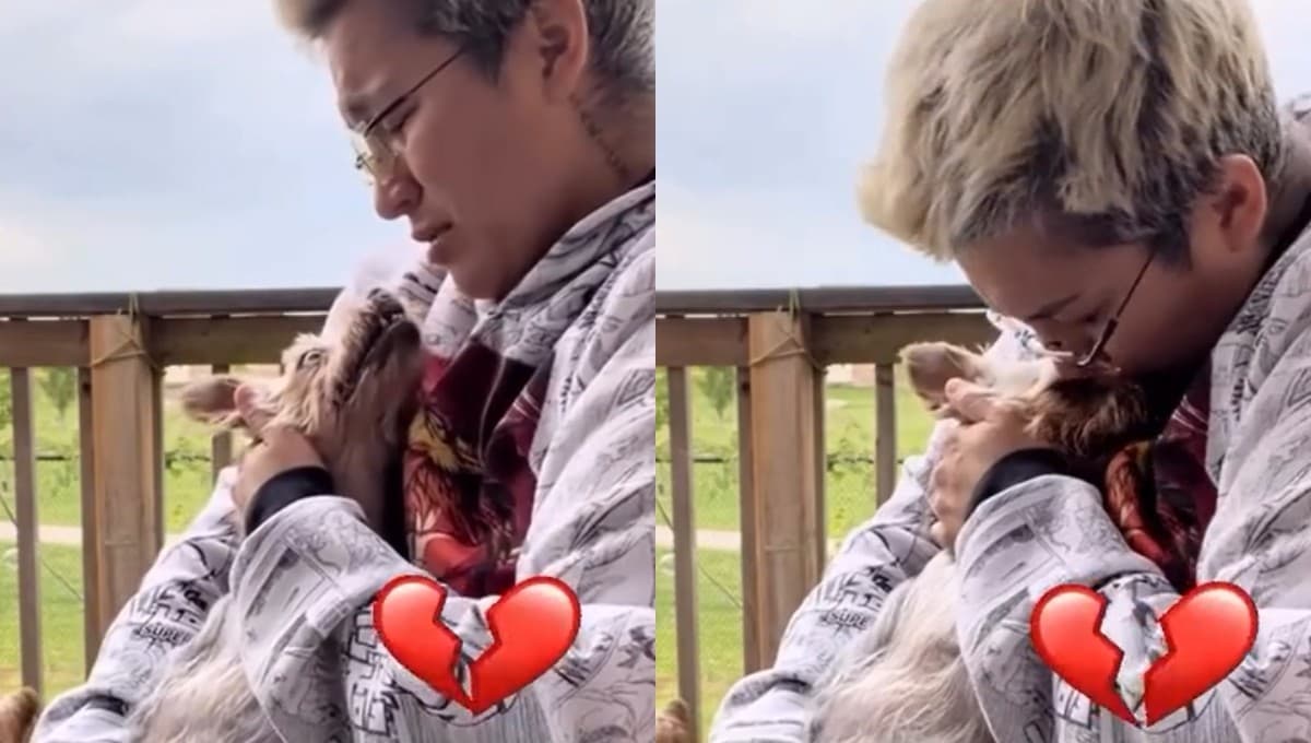 Perrito muere en los brazos de su dueña, ‘vete tranquilo, mi amor’