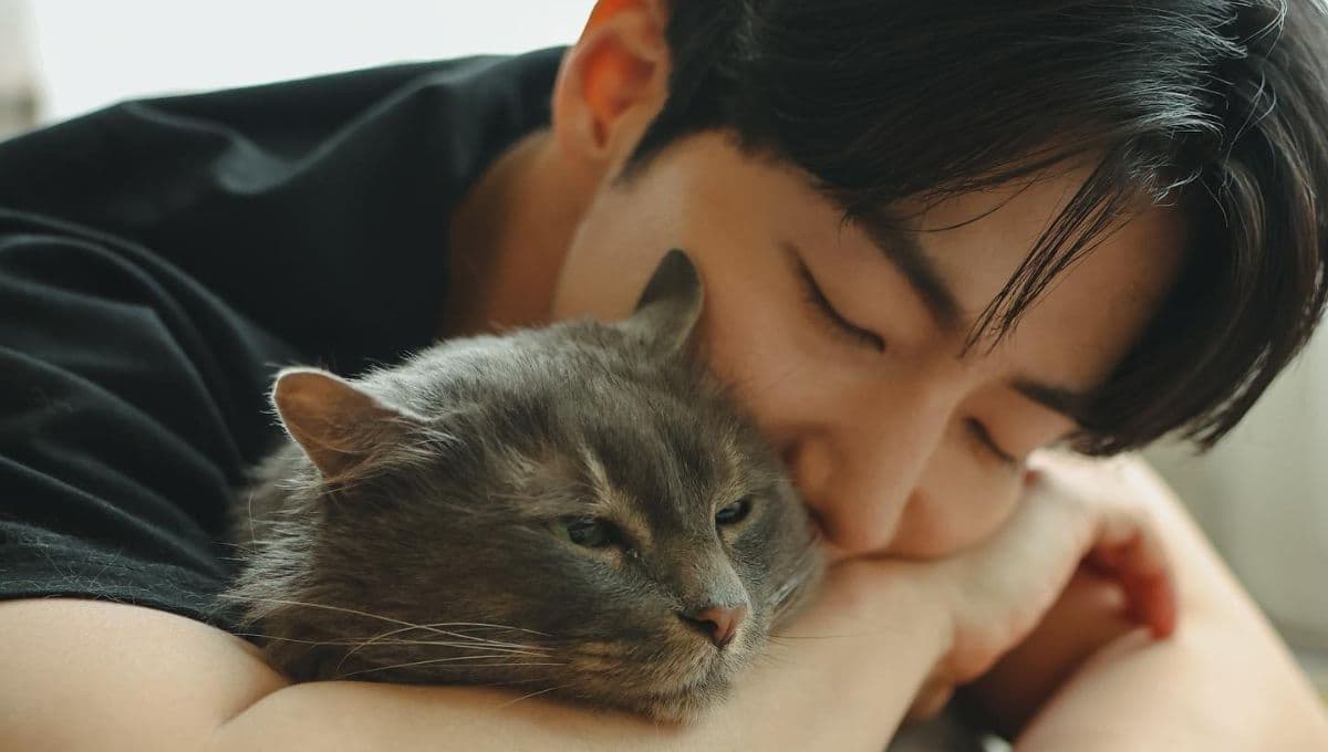 Estos son los gatitos de Son Jaerim: ¿qué pasará con las mascotas del actor coreano?