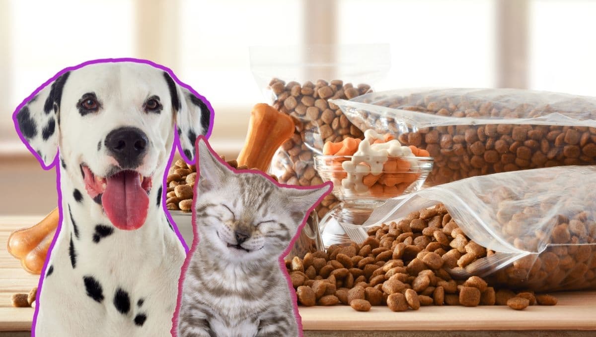 PRI propone quitar el IVA de las croquetas y alimentos de mascotas: de esto va la iniciativa