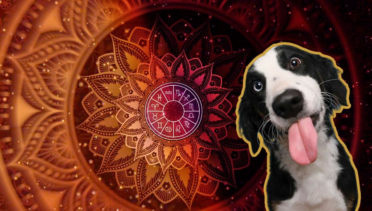 Horóscopo de tu perro: Las predicciones para tu lomito hoy viernes 15 de noviembre