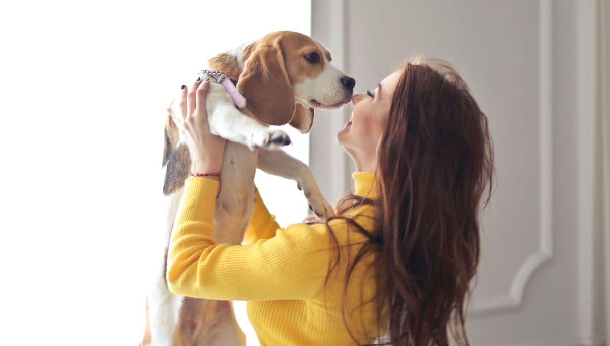 ¿Deberías ponerle suéter a tu perro? Situaciones en las que sí tienes que hacerlo