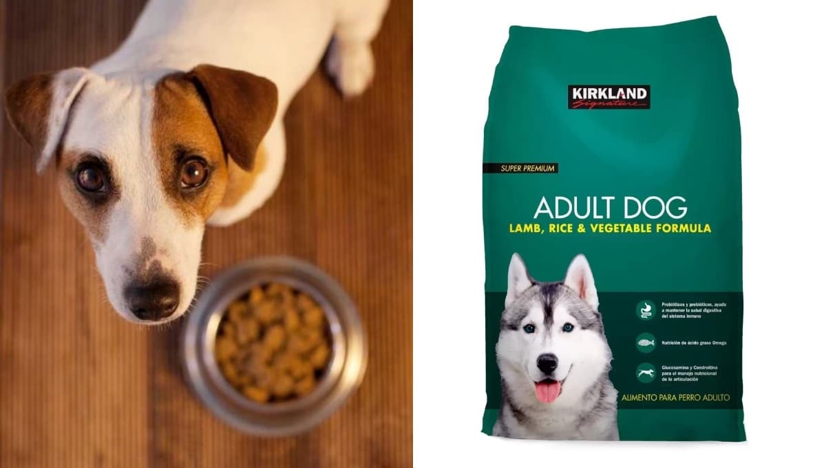¿Qué tan buenas son las croquetas para perro del Costco?