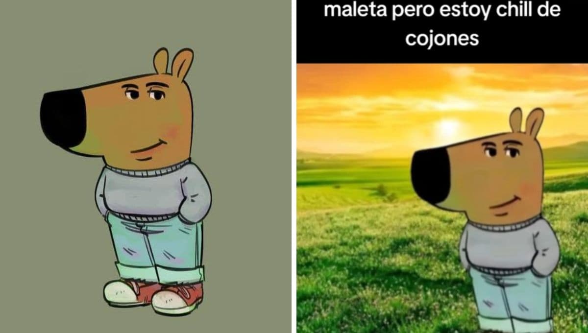 ¿Cuál es el origen del perro "tranquilo y de chill" que se hizo viral en redes?