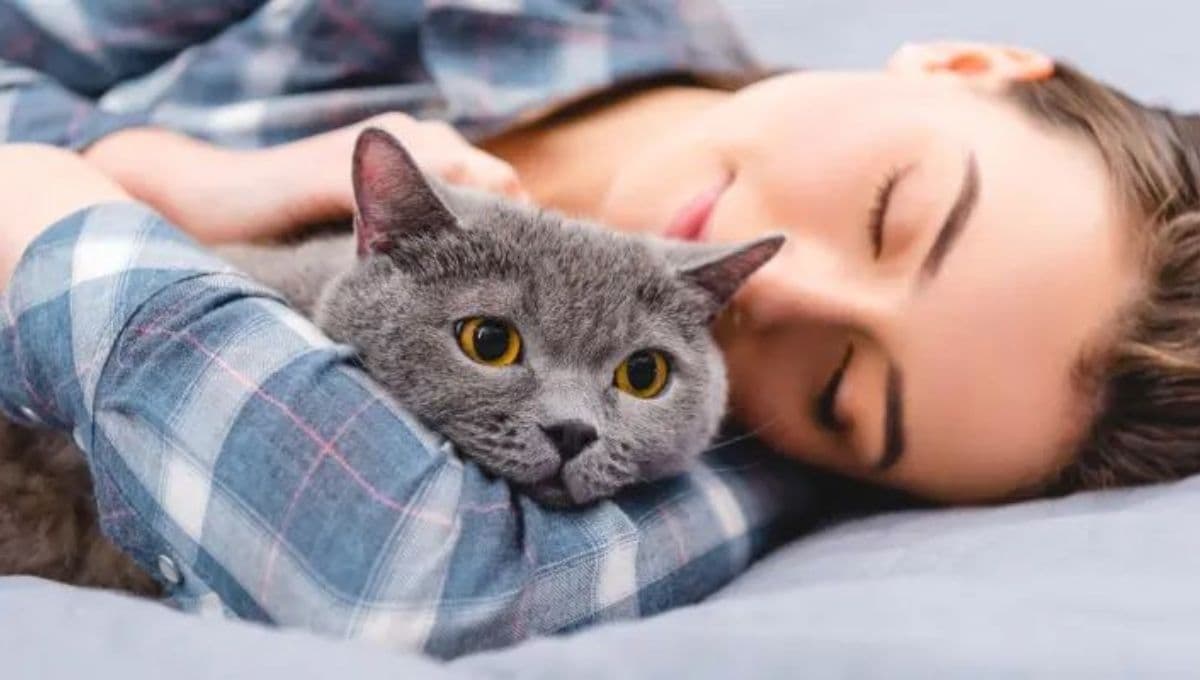 ¿Cómo hacer que mi gato no se suba a la cama? 5 tips para educarlo