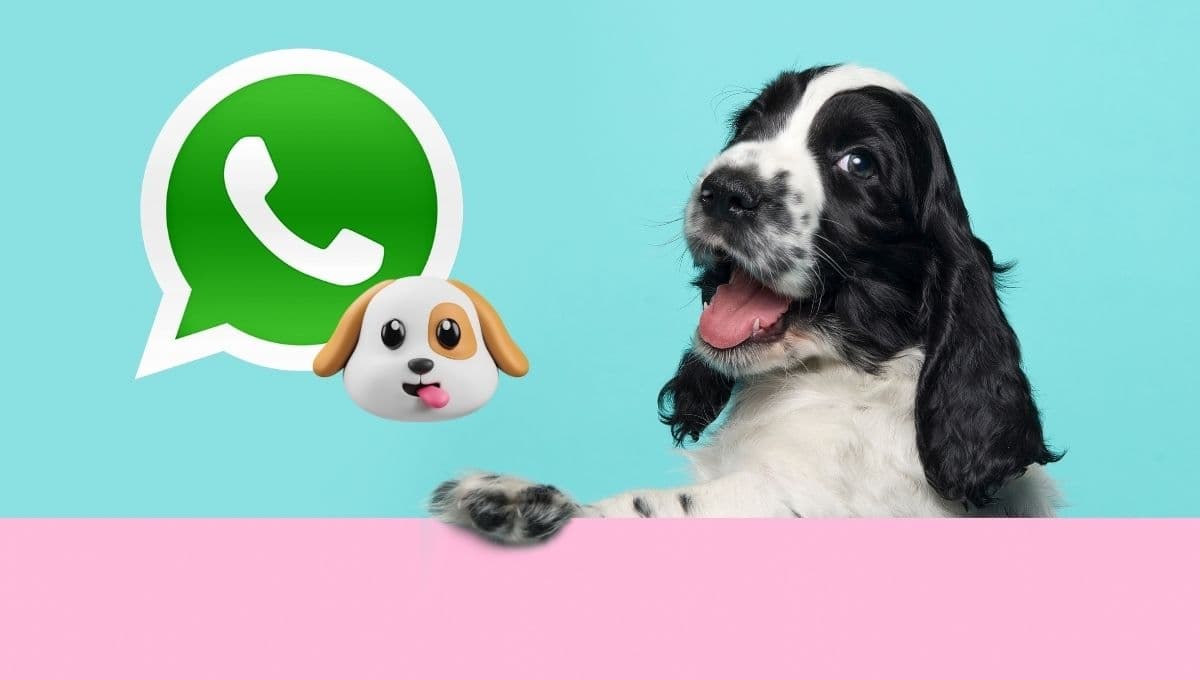 Modo perro en WhatsApp: ¿Qué es y cómo activarlo para llevar a tu lomito a todas partes?