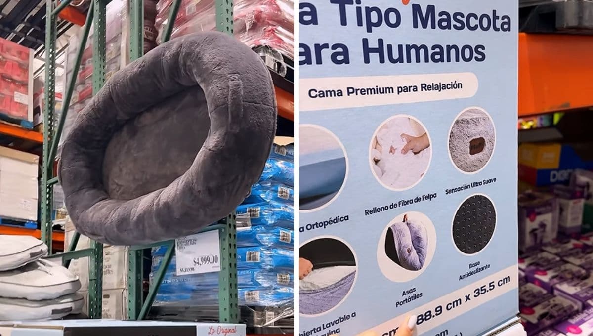 La cama GIGANTE de mascotas en Costco ideal si te gusta acostarte con tu perrito