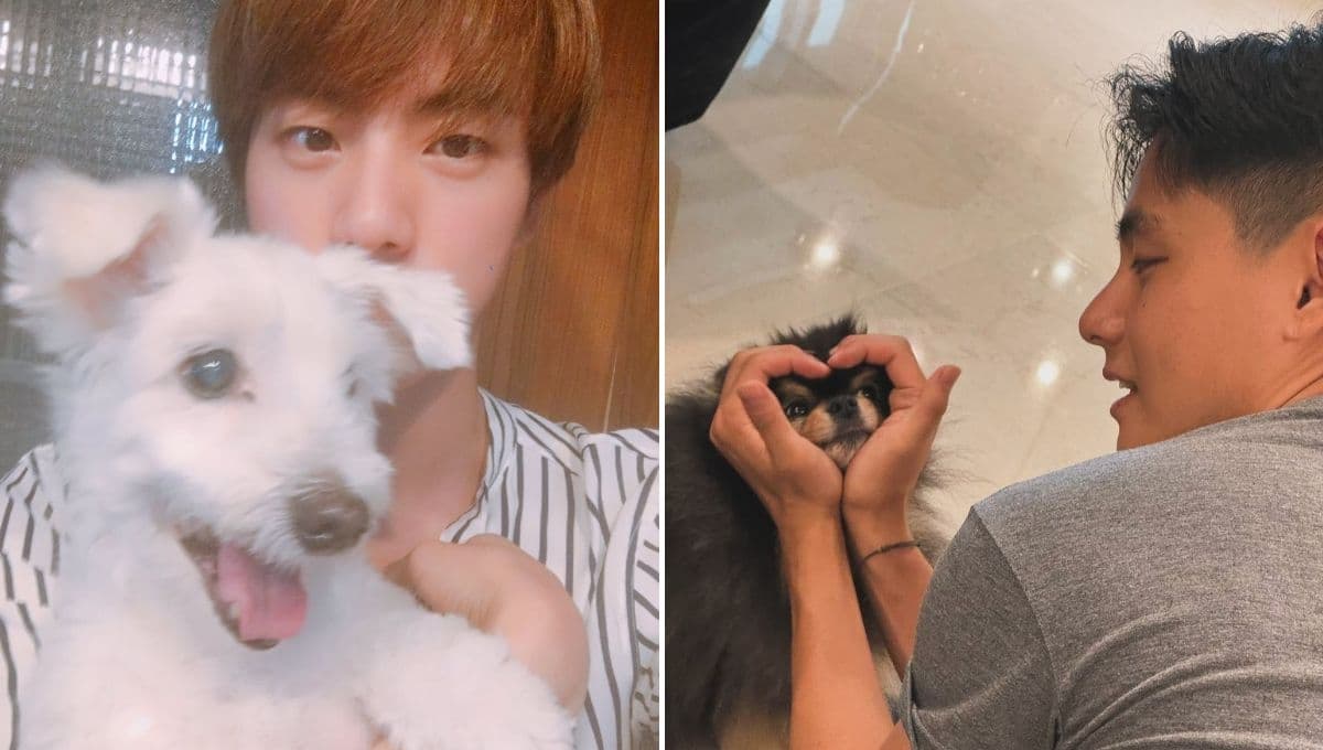 Todas las mascotas de BTS que murieron y dejaron huella en ARMY