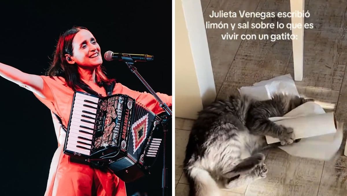 ¿Julieta Venegas escribió ‘Limón y sal’ para un gato?