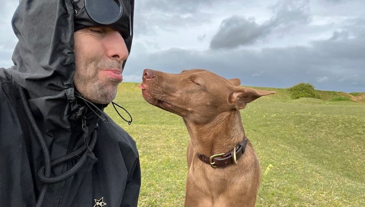 Buttons, la perrita que rescató Liam Gallagher que lo hizo ganar el premio PETA