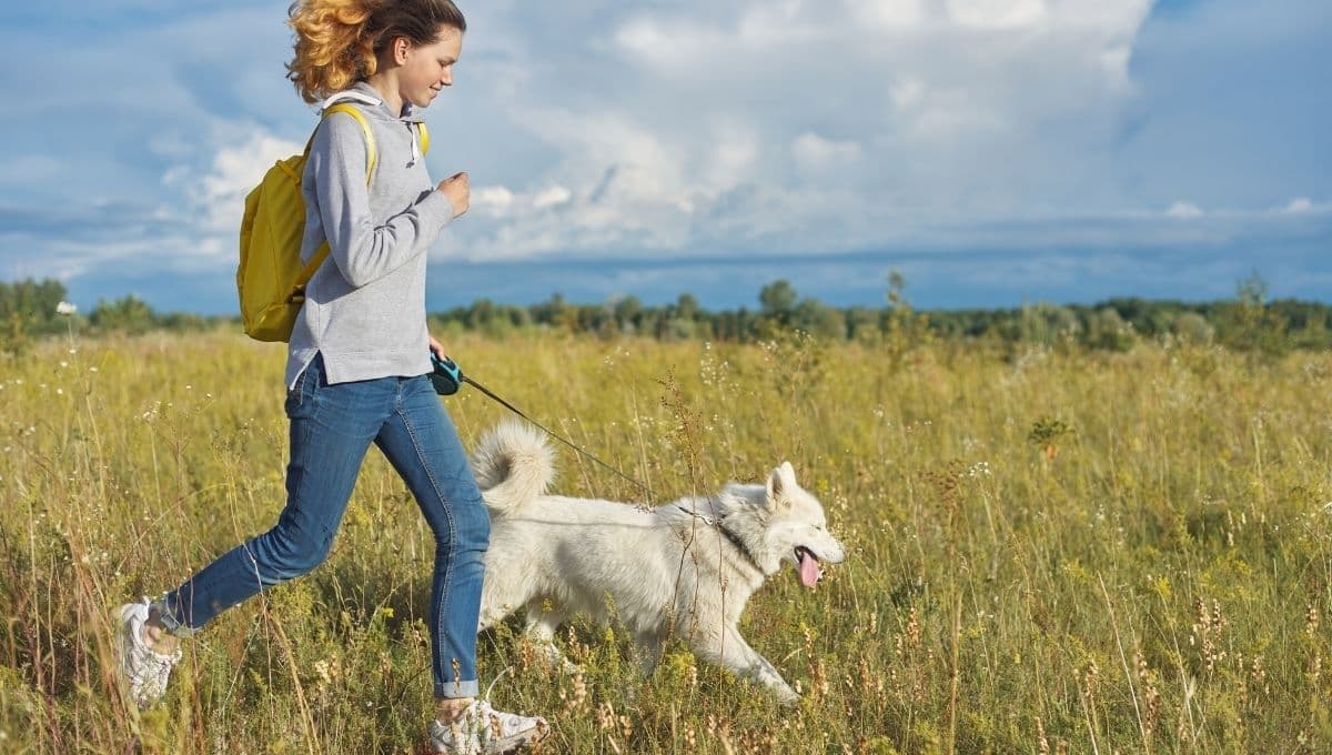 ¿Qué significa soñar con perros?