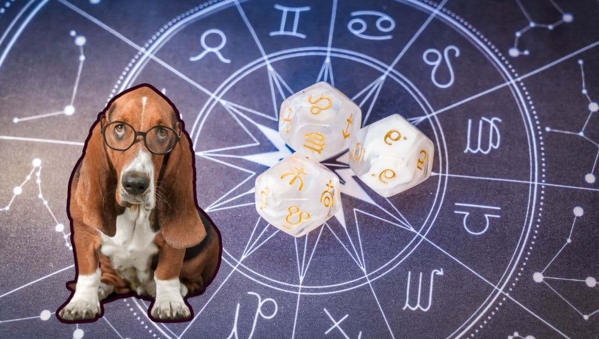 Horóscopo de tu perro: Las predicciones para tu lomito hoy jueves 12 de diciembre