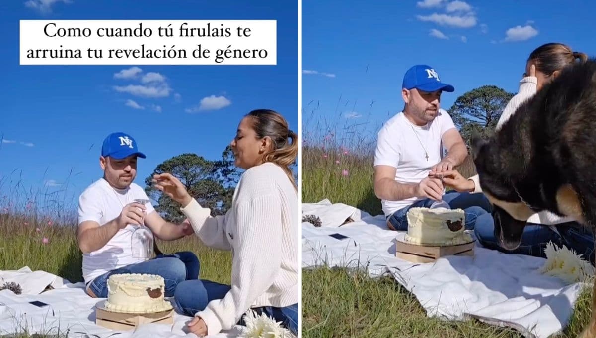 Lomito "arruina" revelación de género y se vuelve viral