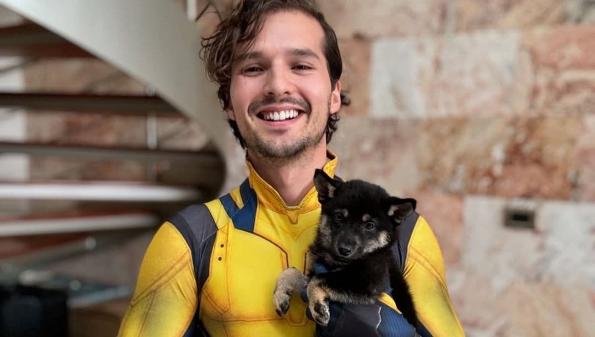¿Cómo quitarle a sus perros a una persona que los maltrata en México?