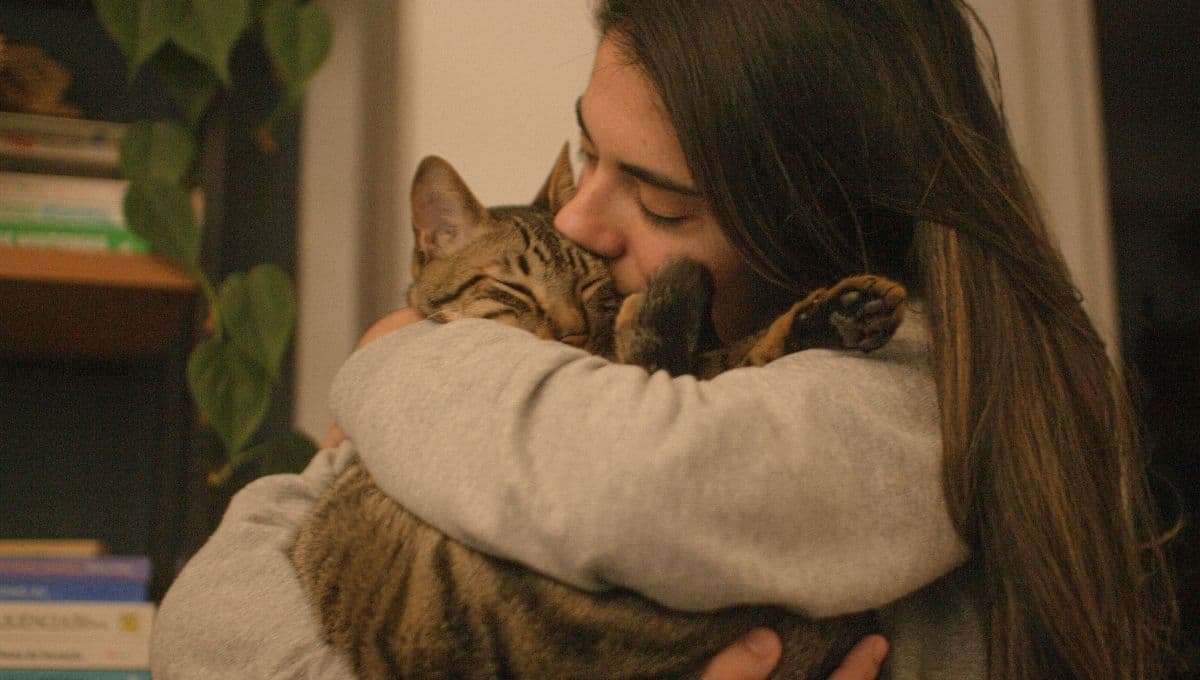 ¿Cómo saber si tu gato te ve como su madre?