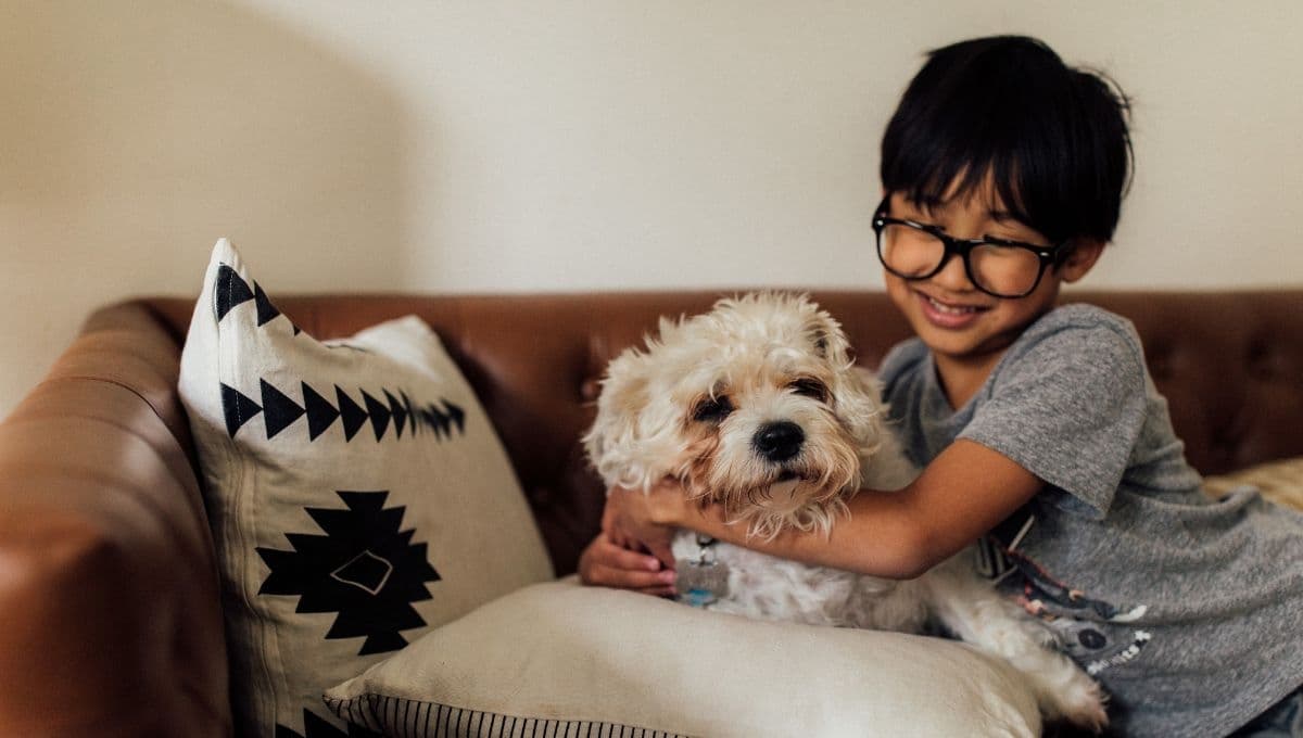 Las 7 mejores razas de perros que pueden convivir con niños