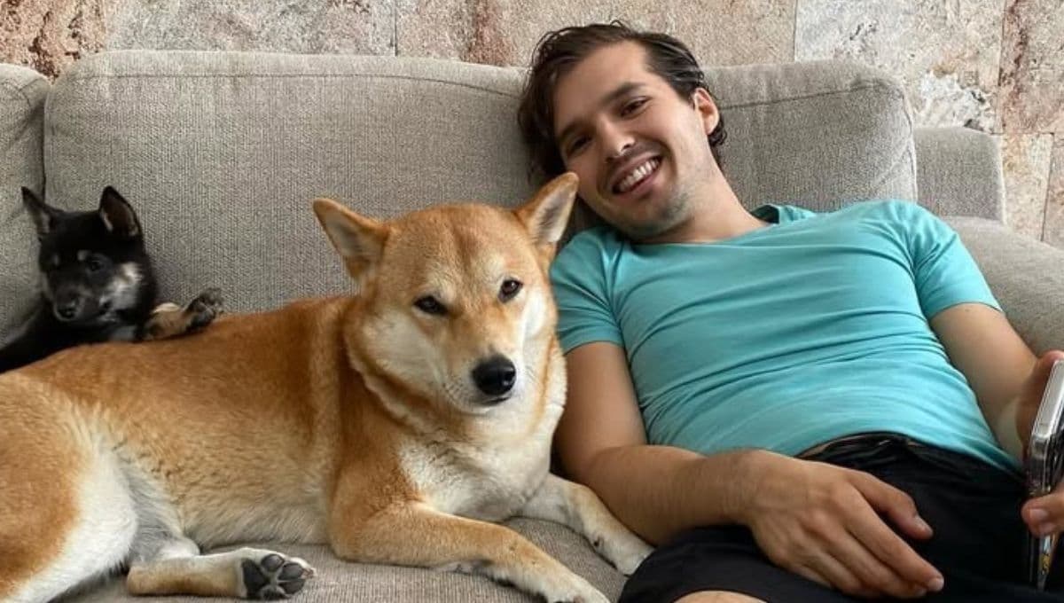 ¿Qué raza son las perritas de Memo Aponte