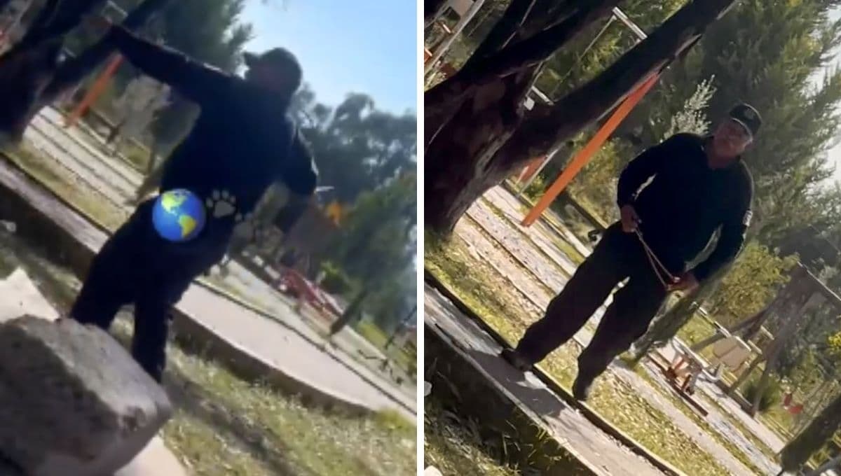 VIDEO: Exhiben a policía del Edomex corriendo a pedradas a perros del parque ‘Los Alcanfores’