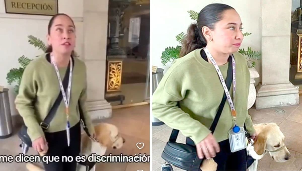 ¿Qué hacer si no te dejan entrar con un perro de servicio a un lugar? Hotel Safi es CANCELADO en redes