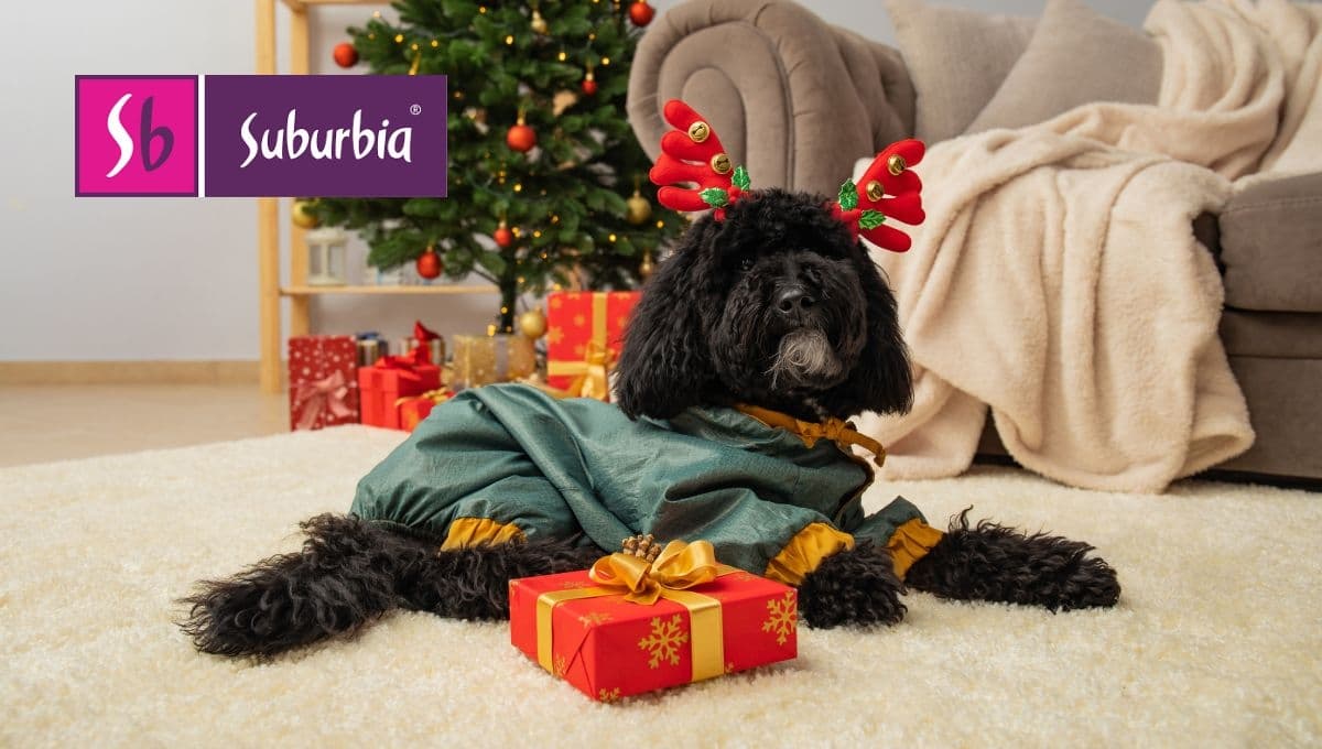 Disfraza a tu perro de Santa Claus o reno con estas prendas de descuento en Suburbia