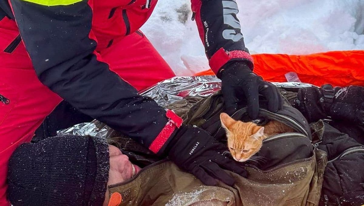 Ucraniano se salva de morir congelado gracias a su gata naranja