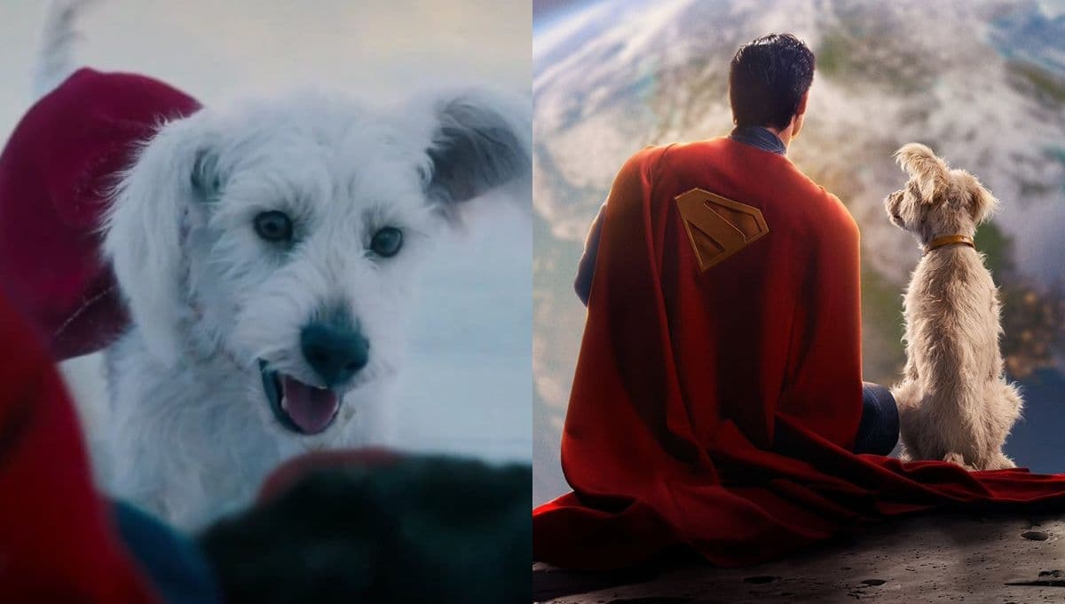 ¿Qué raza es Krypto? El perro que aparece en el trailer de ‘Superman’