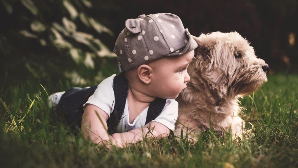 ¿Cómo introducir a un bebé en una casa con perro?