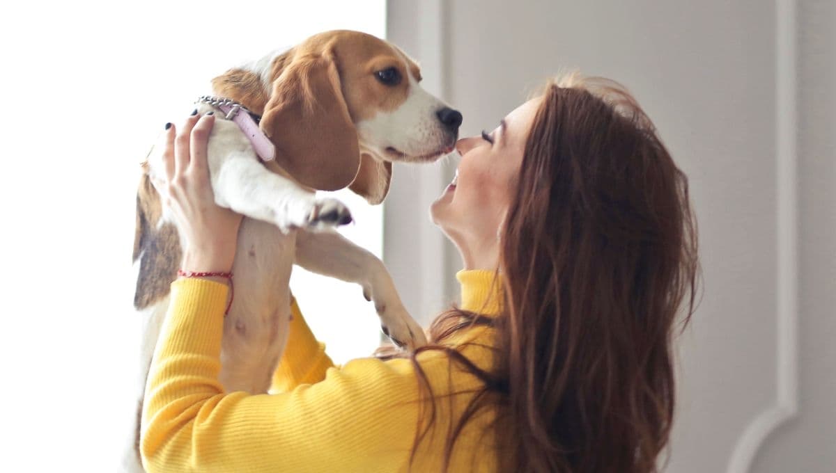 20 nombres coreanos para perros y su significado