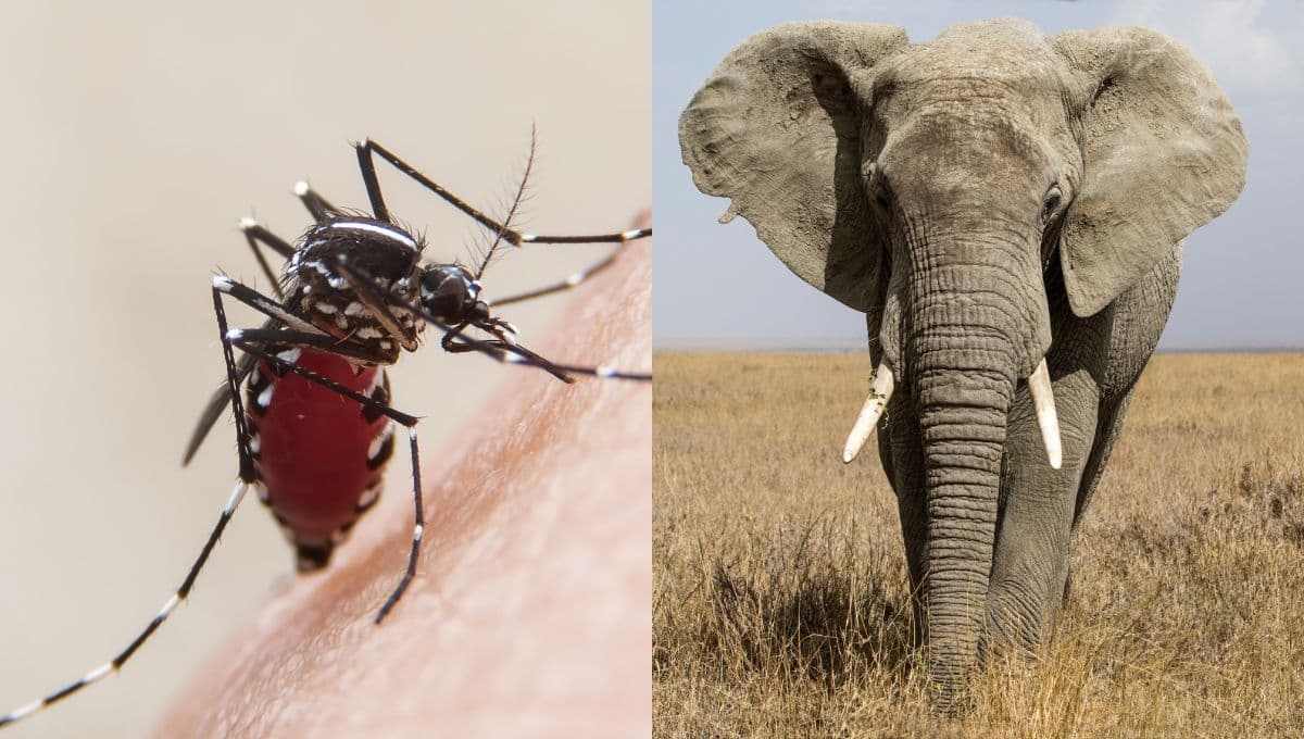 ¿Cuál es el animal más peligroso de todo el mundo según la inteligencia artificial?