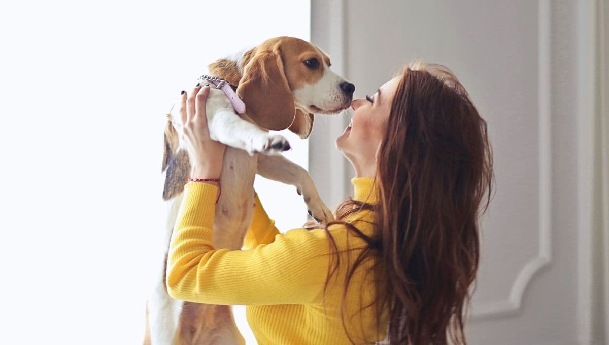 ¿Qué pasa si mi perro come ensalada de manzana?