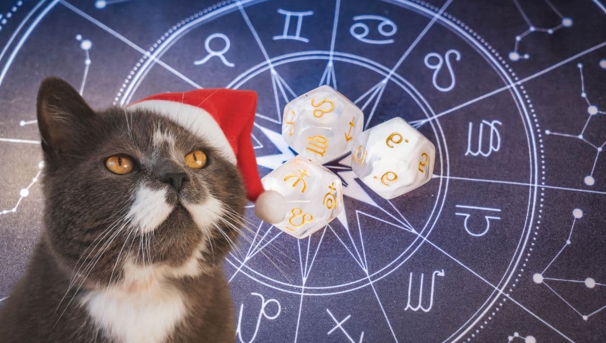 Horóscopo de tu gato: Las predicciones para tu michi hoy miércoles 25 de diciembre