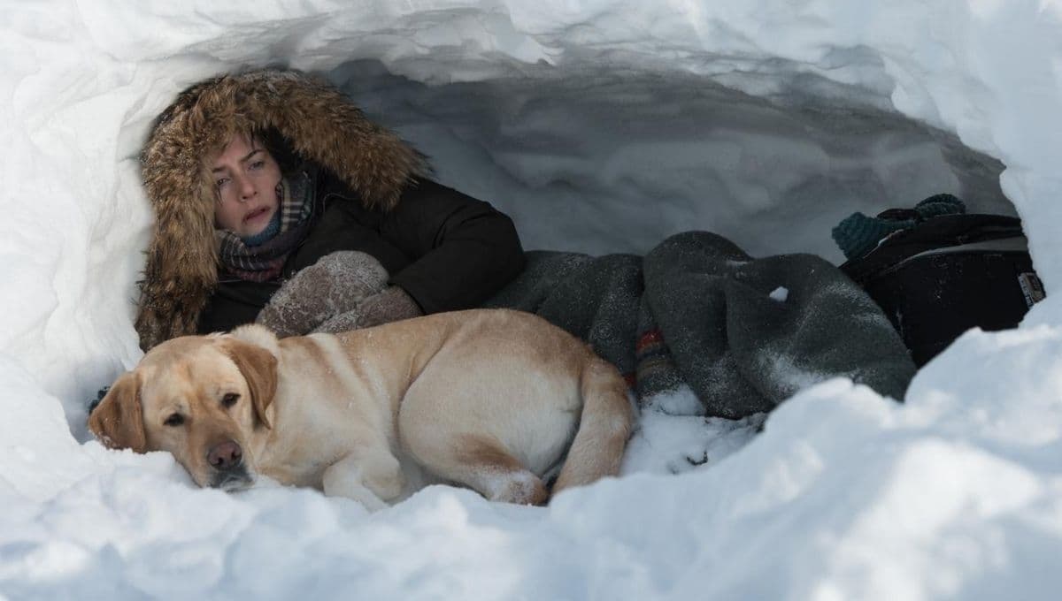 ¿Qué le pasa al perro de la película ‘Más Allá de la Montaña’ de Netflix?